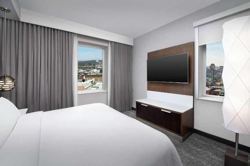 Embassy Suites by Hilton Knoxville Downtown - photo 43
