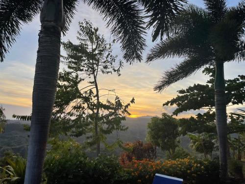 Hawk's Nest Bed & Breakfast — 4-Star Luxury Hotel in San Carlos, Panama