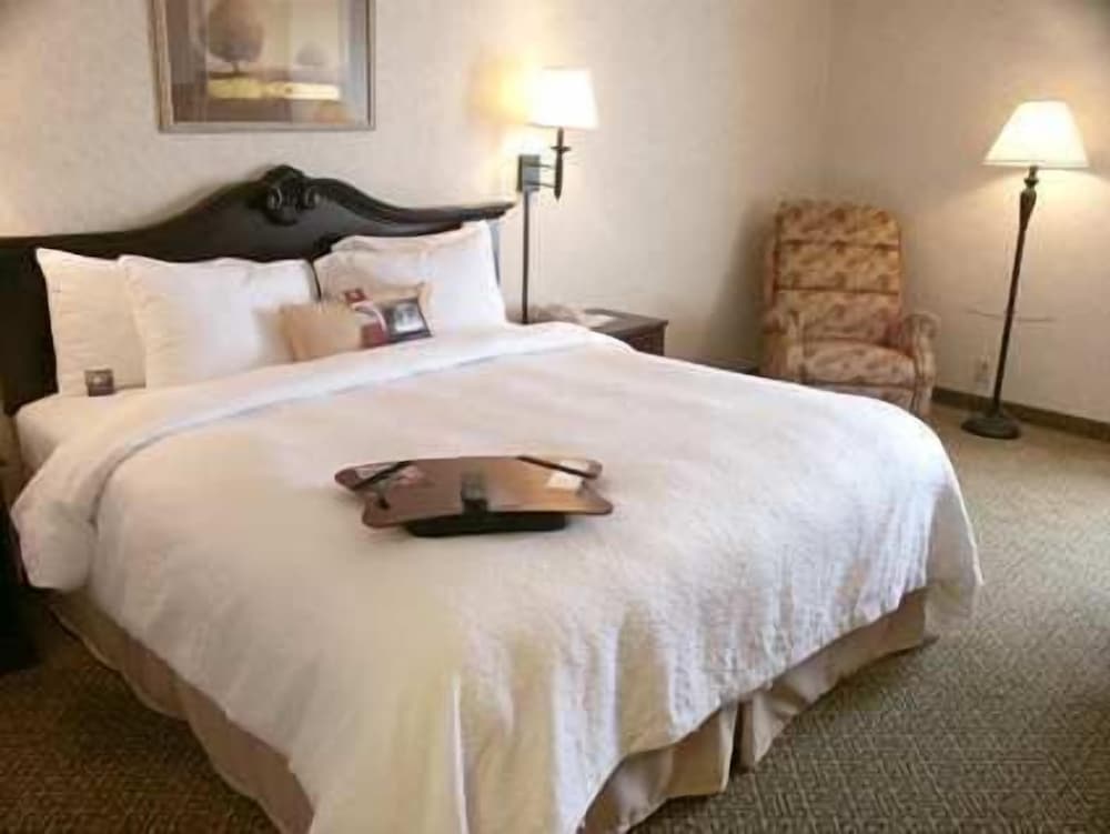 Hampton Inn Dublin - photo 5