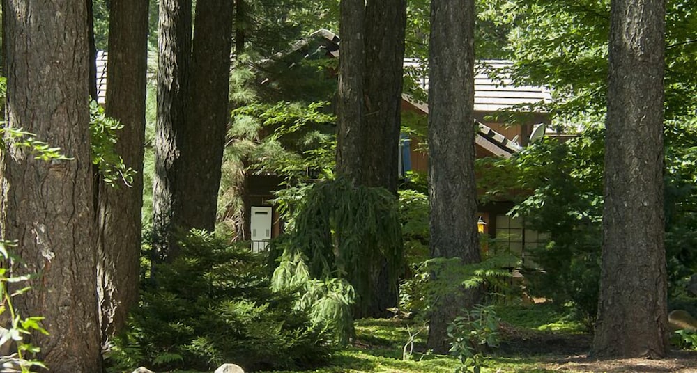 Harmony Ridge Lodge - photo 29