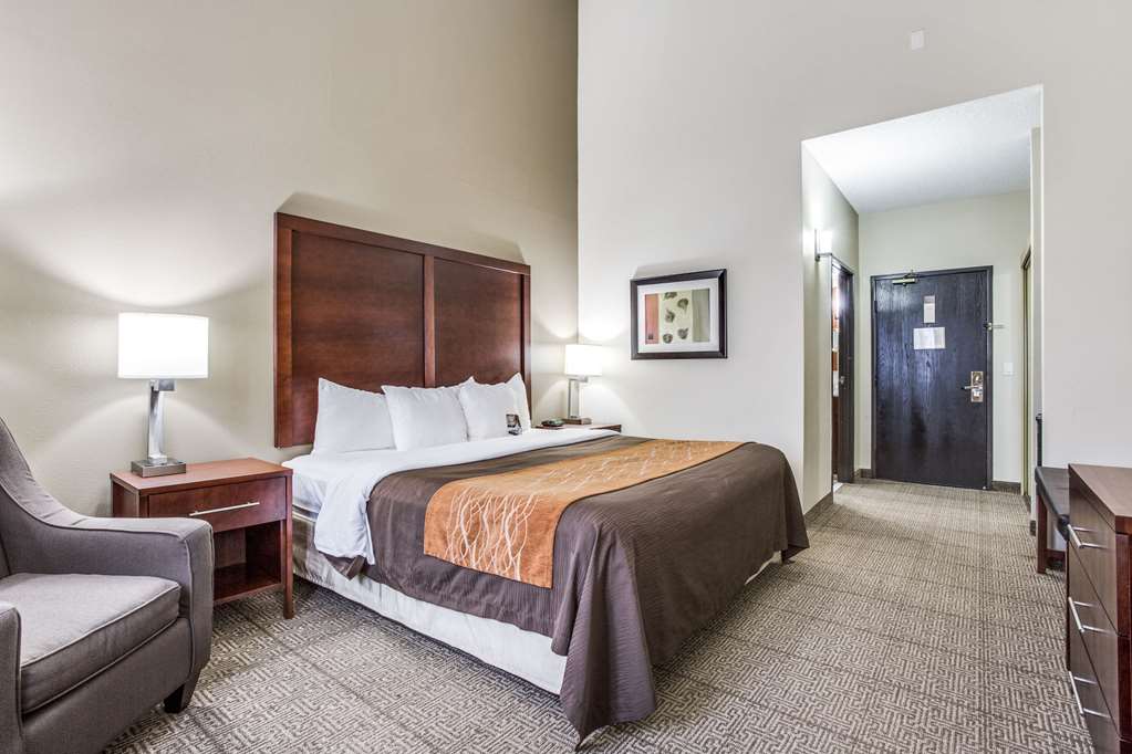 Comfort Inn & Suites Love Field Dallas Market Center - photo 10