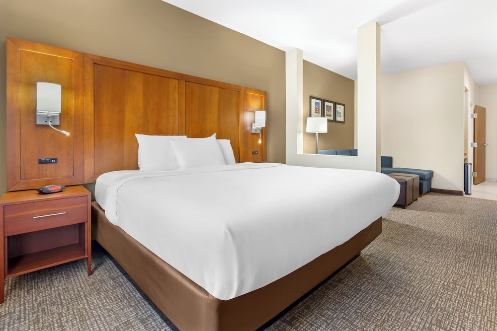 Comfort Suites Greensboro High Point - photo 10