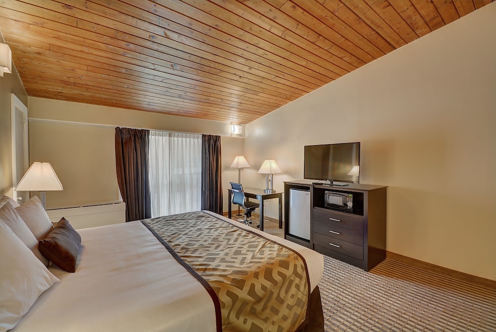 The Putney Inn - photo 3