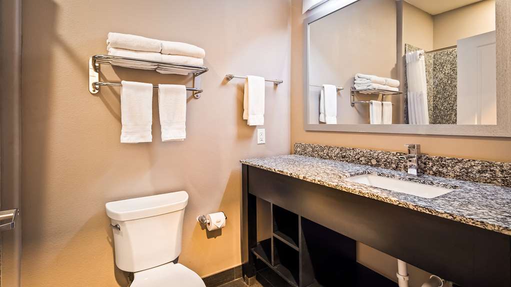 Best Western Plus Dilley Inn & Suites - photo 13