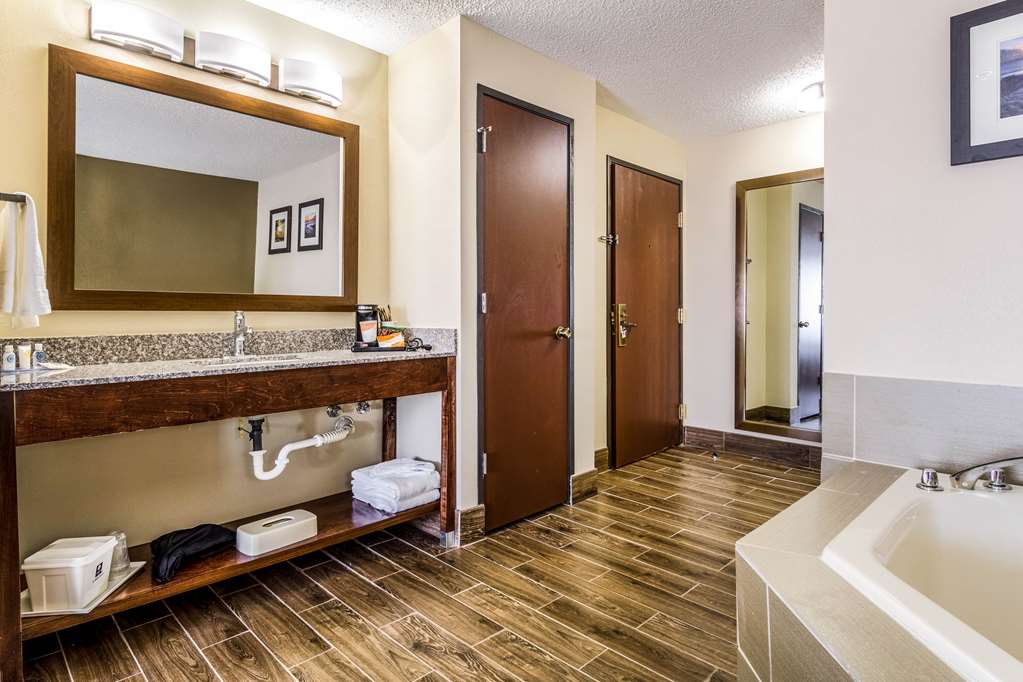 Comfort Inn Norwalk Sandusky - photo 27
