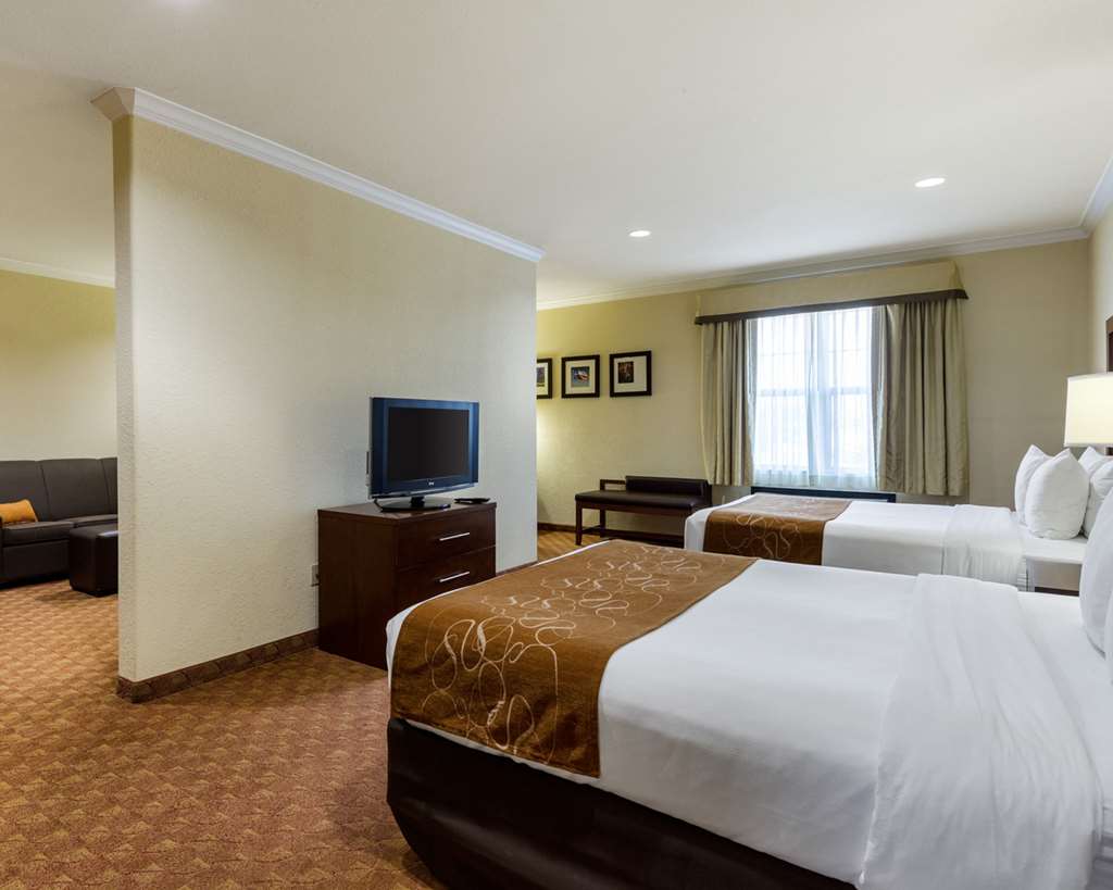 Comfort Suites near NASA Clear Lake - photo 15