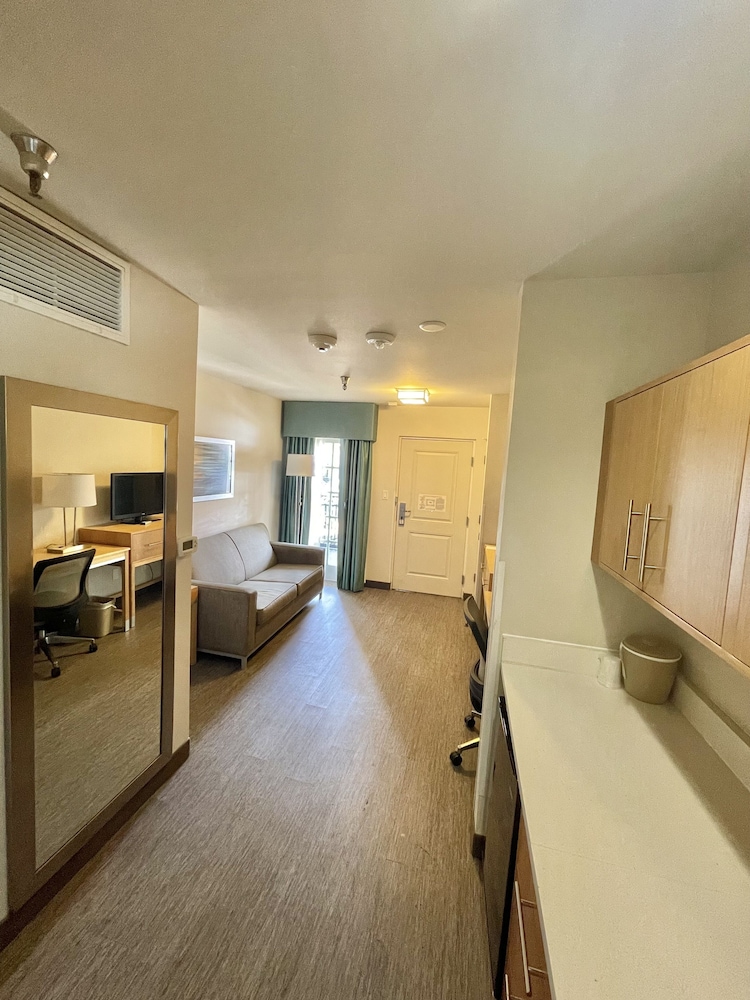 Red Roof Inn PLUS & Suites Tampa - photo 6