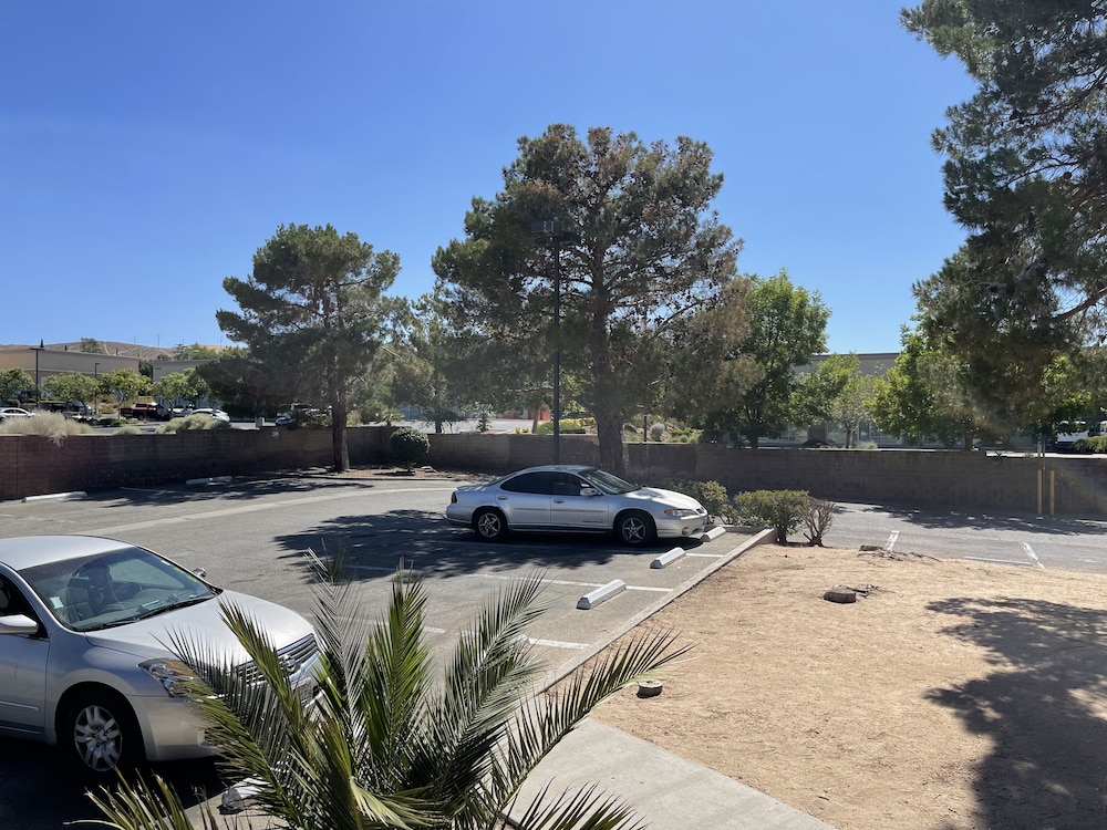 Palms Inn & Suites - photo 30