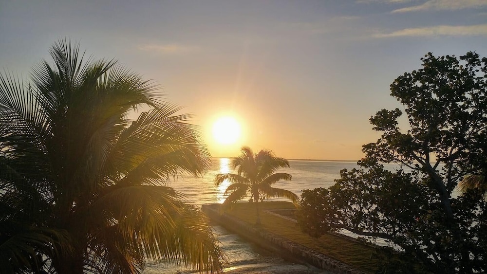 Almond Tree Hotel Resort — Corozal — photo 4