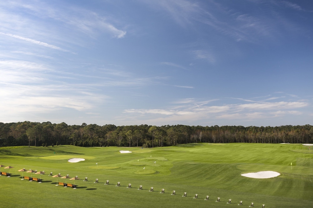Four Seasons Resort Orlando At Walt Disney World Resort - photo 59