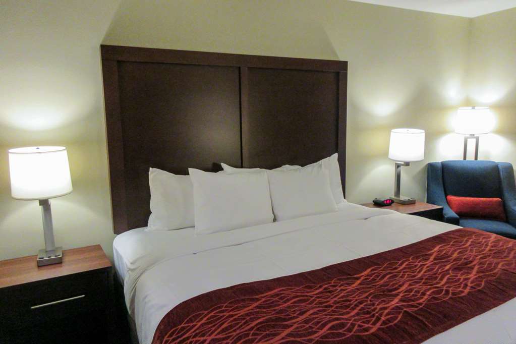 Comfort Inn & Suites Gap Amish Country - photo 9