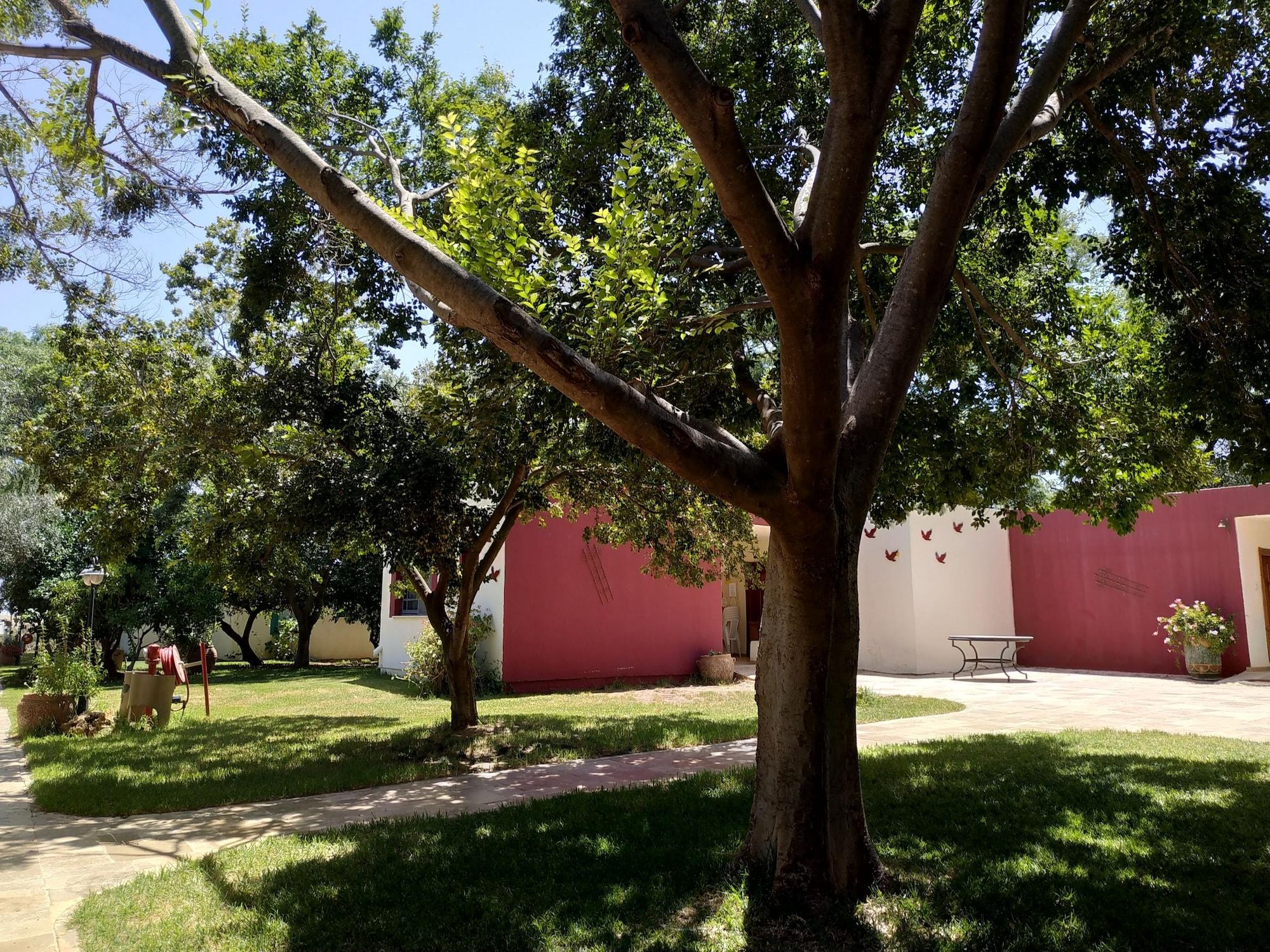 Amiad Country Lodging in Unknown City, Israel