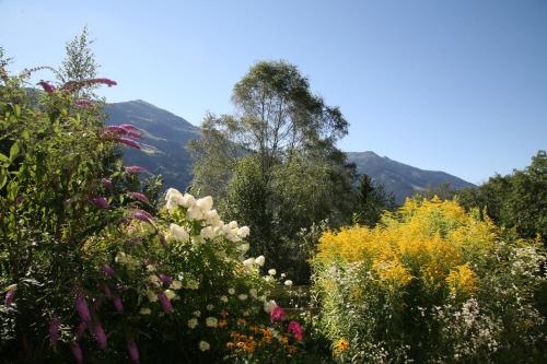 Residenz am Berg — Jochberg — photo 4