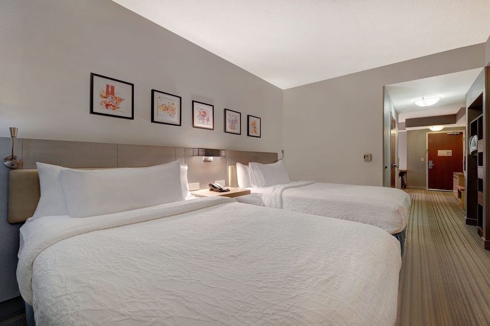 Hilton Garden Inn Tampa Northwest Oldsmar - photo 9