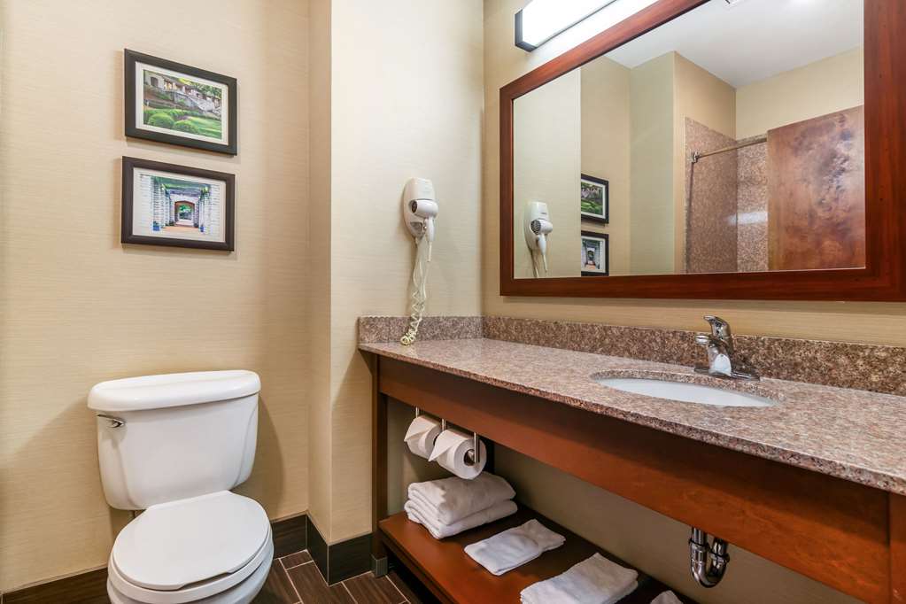 Comfort Suites Jefferson City - photo 9