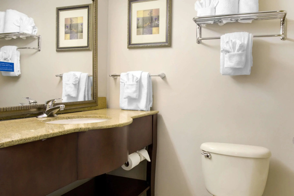 Clarion Hotel Orlando International Airport - photo 9