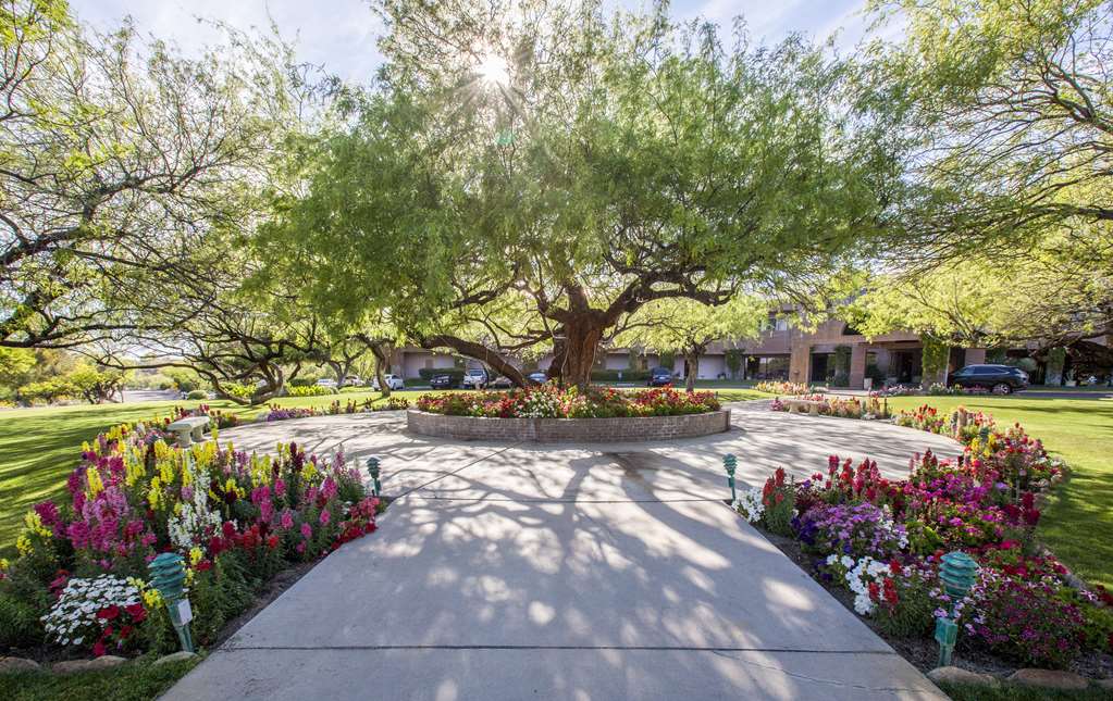 Ventana Canyon Club and Lodge - photo 5
