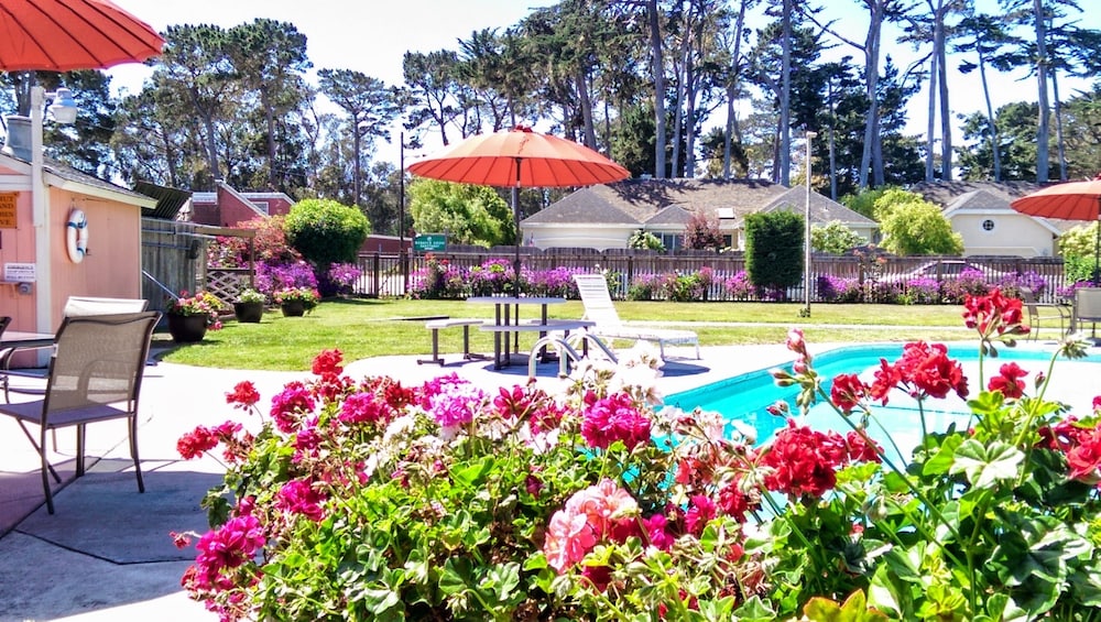 Butterfly Grove Inn - photo 40