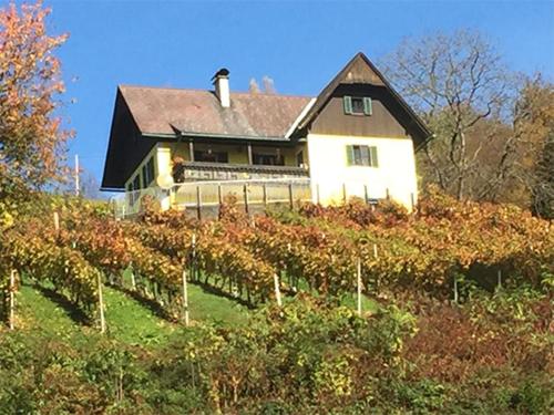 Malerisches Weingartenhäuschen in Kitzeck — hotel in Wildon