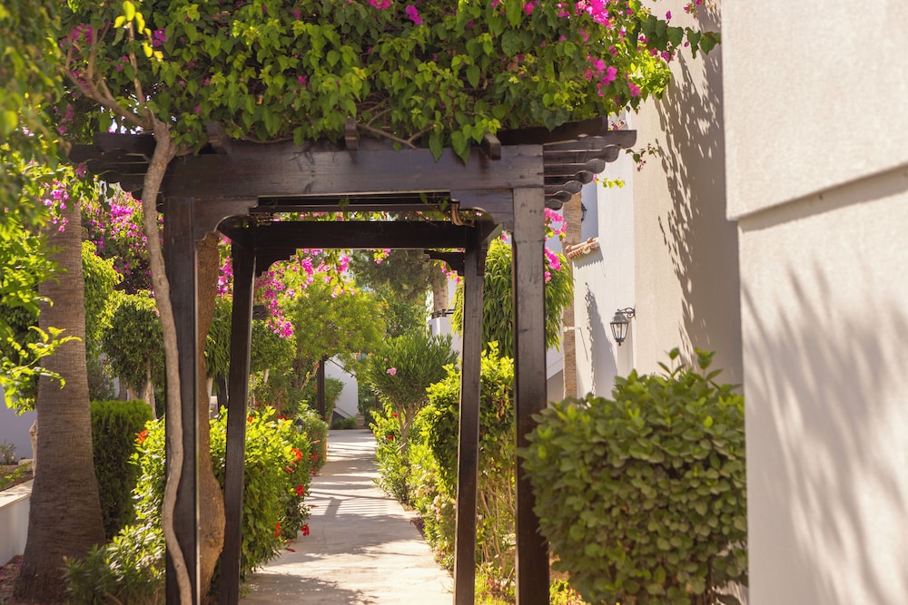 מראה חיצוני