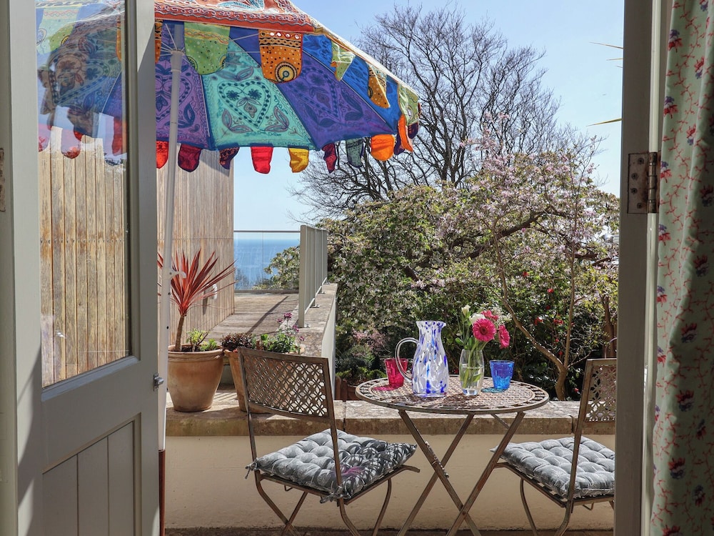 Little Sea Thrift in Lyme Regis, United Kingdom
