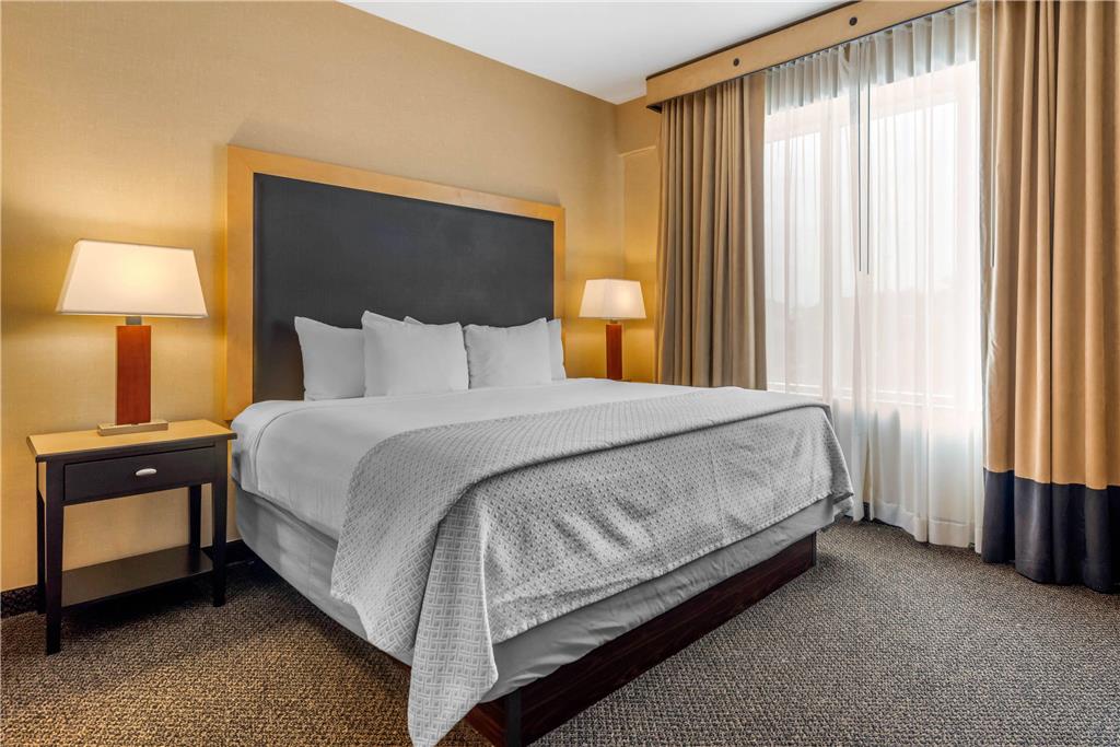 Cambria Hotel Akron Canton Airport - photo 19