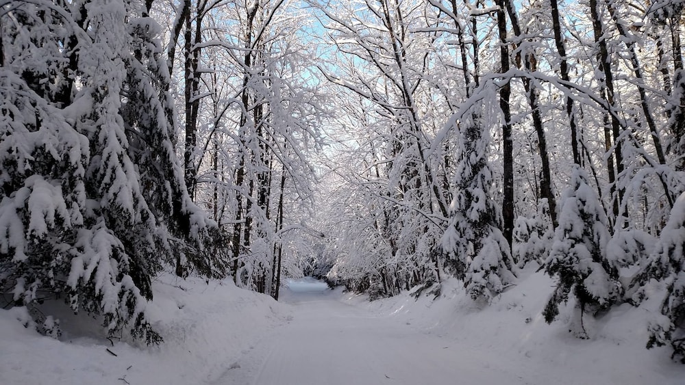 Lakewoods Resort & Lodge - photo 44