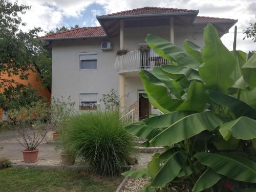 Szilvia apartman in Harkany, Hungary