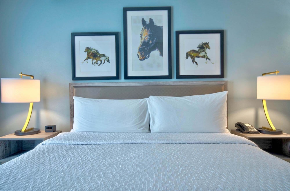 Homewood Suites by Hilton Lexington Hamburg - photo 5