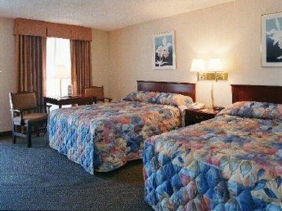 Royal Garden Inn - photo 14