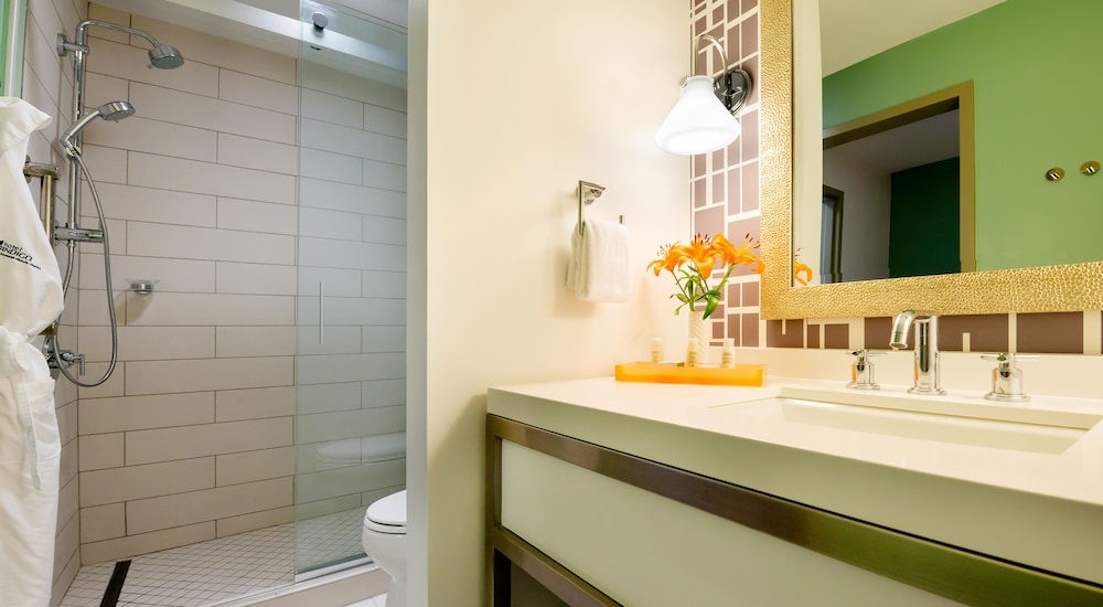 Hotel Indigo Savannah Historic District by IHG - photo 33