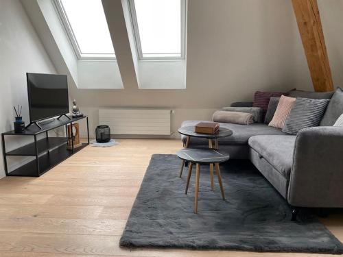 Gemutliche Zentrale Wohnung In Der Stadt Zurich — Zurich