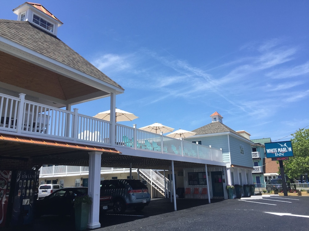 White Marlin Inn - featured photo