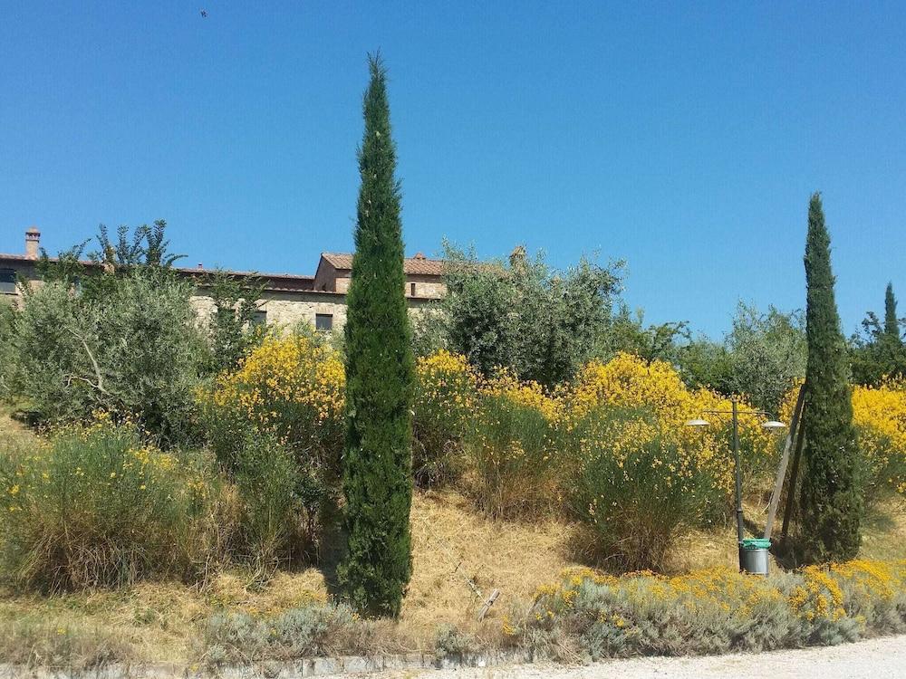 Apartment in Tuscany With Stunning Views — 4-Star Luxury Hotel in Asciano, Italy