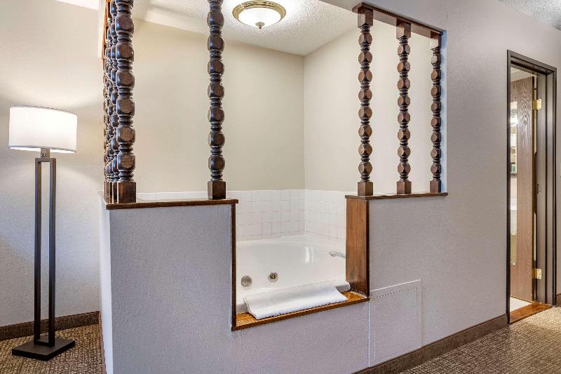 Comfort Inn Manistique MI - photo 73