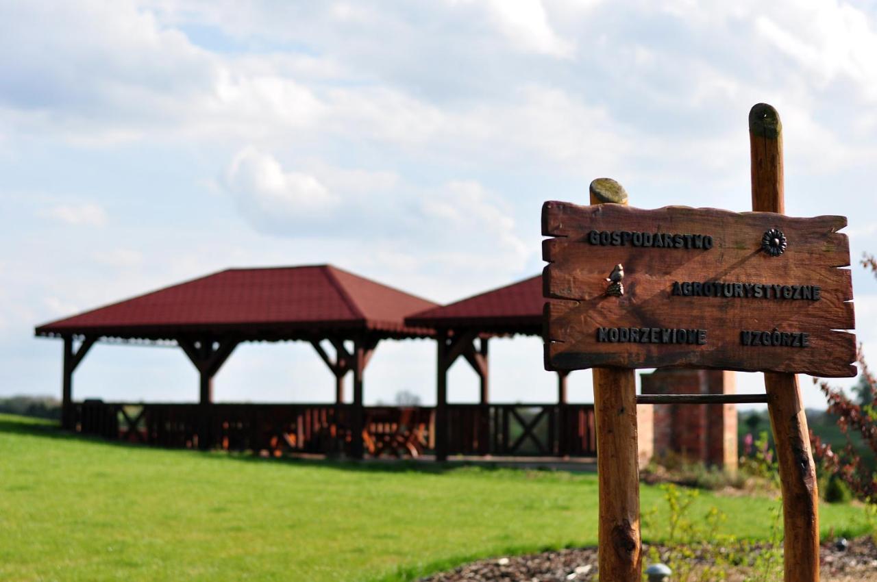 Modrzewiowe Wzgorze — hotel in Pobiedziska