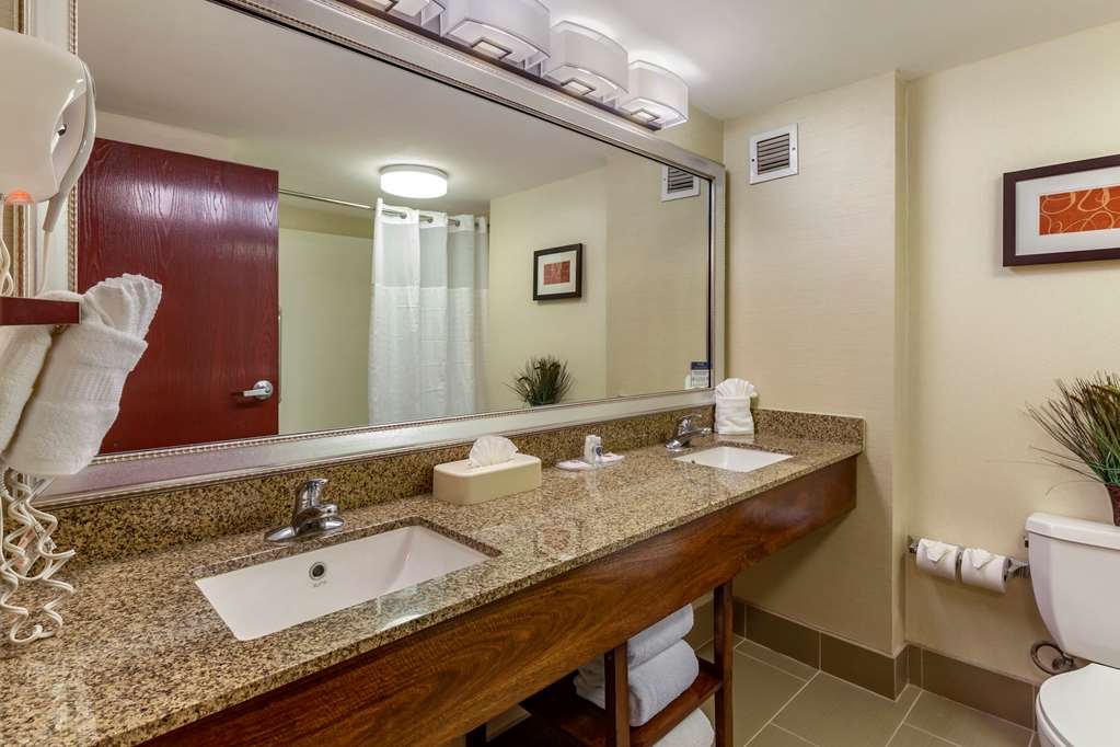 Comfort Suites Manassas Battlefield Park - photo 31