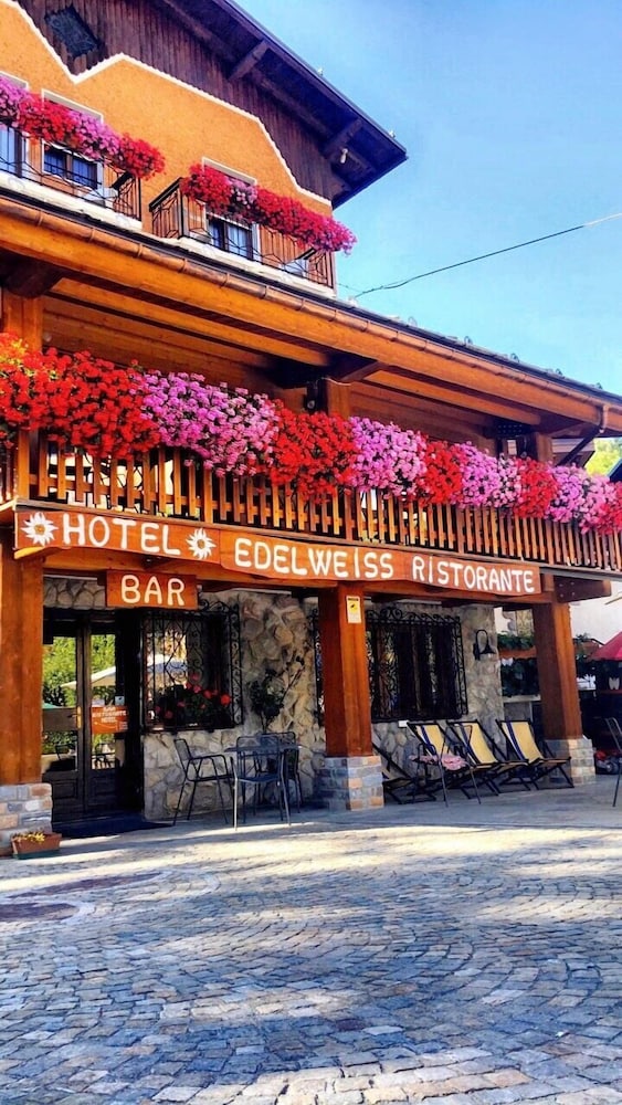 Hotel Edelweiss — hotel in Limone Piemonte