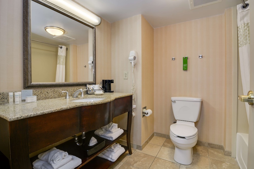 Hampton Inn Atlanta Fairburn - photo 20