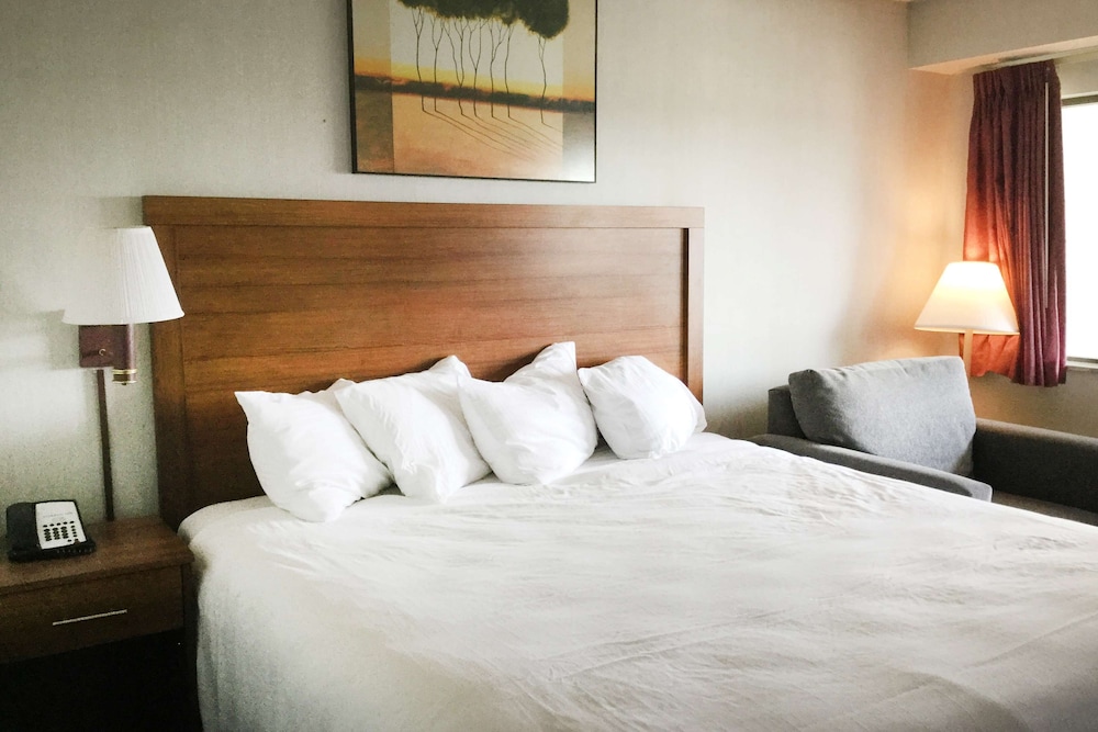 Super 8 by Wyndham Petoskey - photo 7