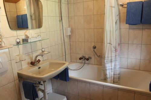 Hotel Alpha — Grachen — photo 3