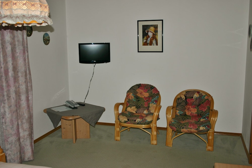 Hotel Habersaign — Furth Im Wald — photo 4