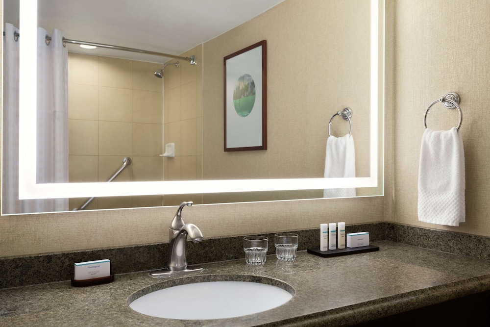 Embassy Suites by Hilton Phoenix Tempe - photo 20