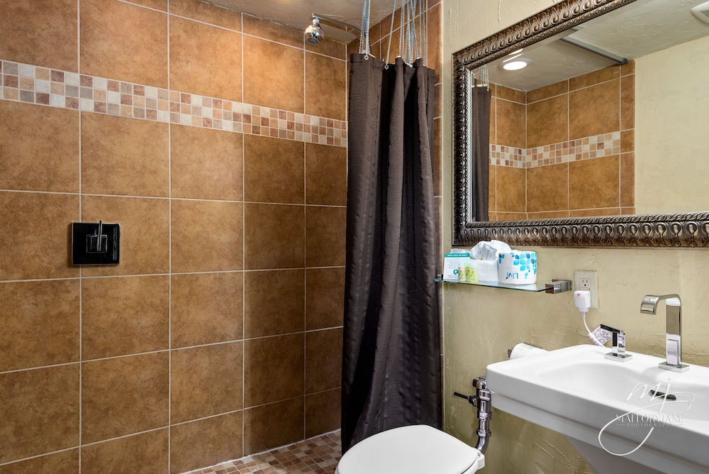 Hotel Seville - photo 43