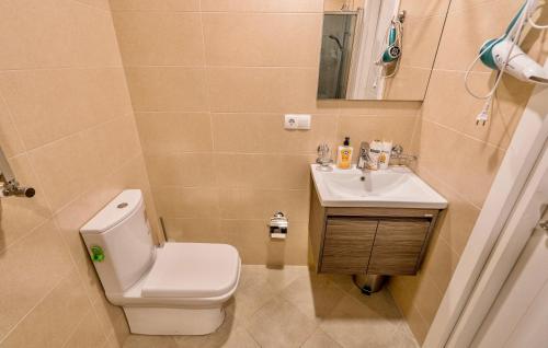 GVC 3 room 2 level apt New Gudauri
