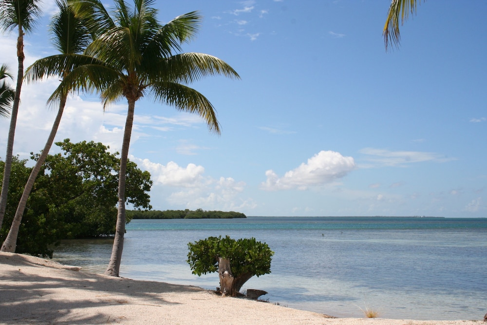 Sunshine Key RV Resort & Marina - photo 43