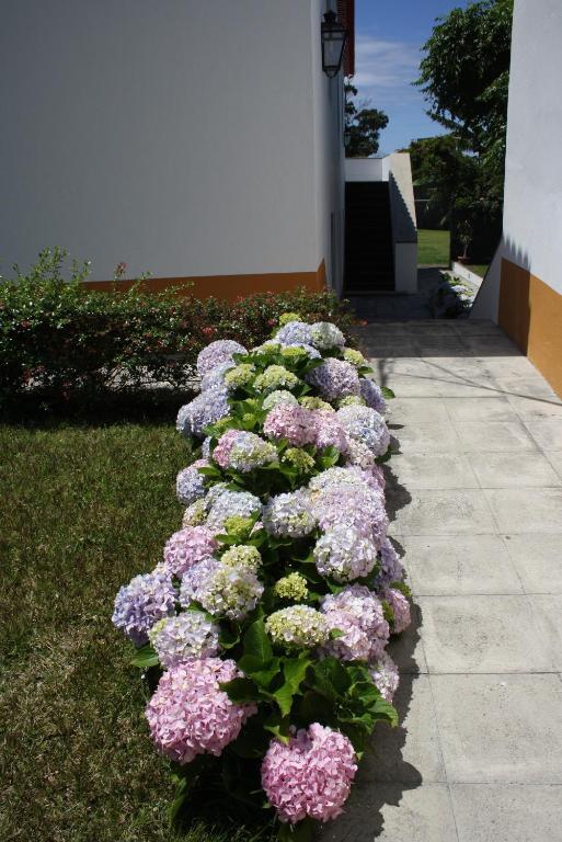 Quinta de Sao Caetano Sao Miguel Acores in Ponta Delgada, Portugal