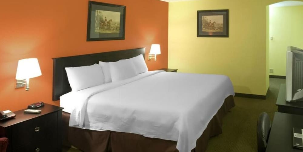 Americas Best Value Inn Waco - photo 3
