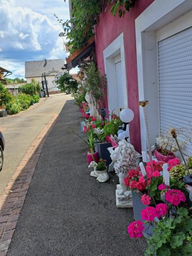 Domaine du Vieux Moulin in Unknown City, France
