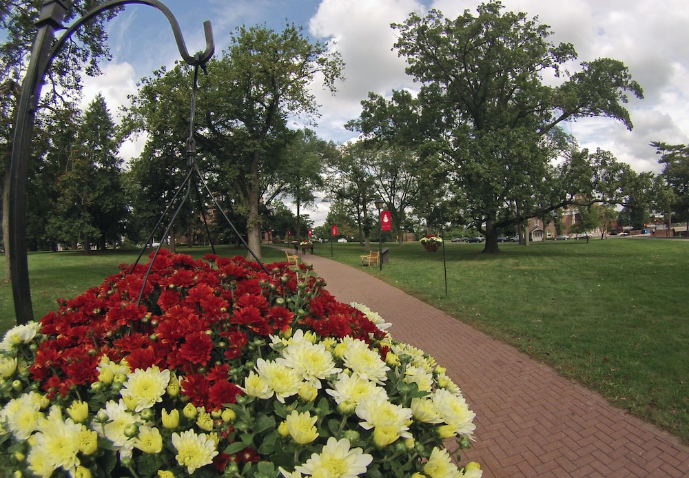 Rutgers University Inn and Conference Center - photo 35